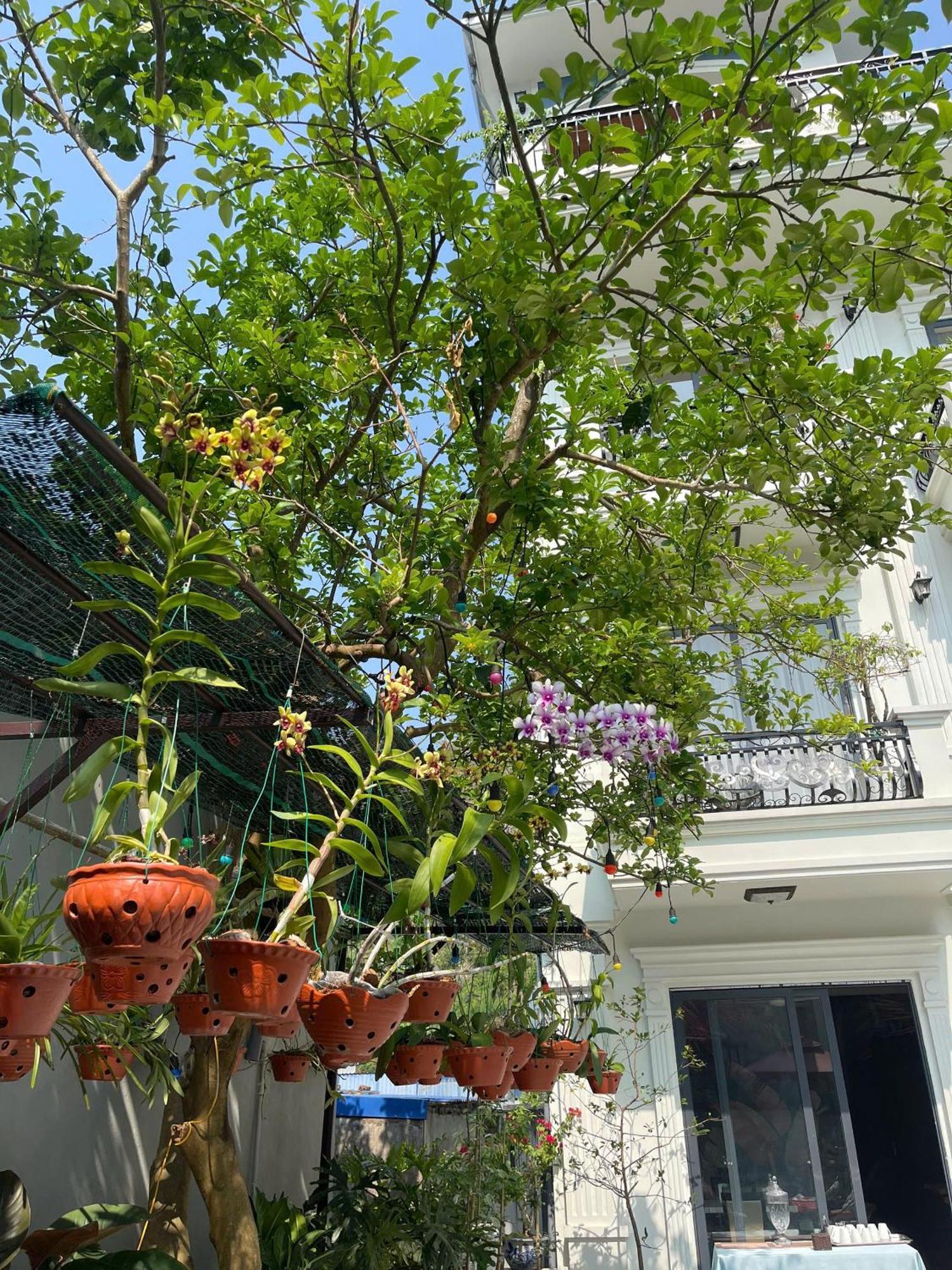 Lynh'S Villa Dong Khe Sau Esterno foto